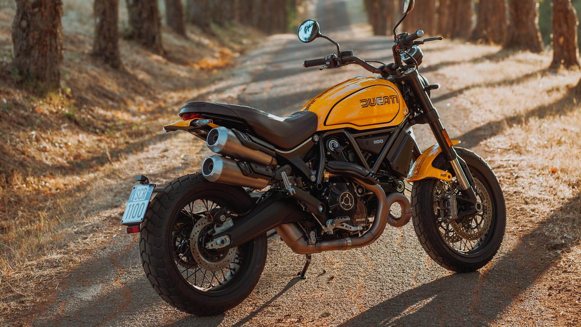 A side view of a Ducati Scrambler 1100 Tribute PRO, as a result of the Ducati World Premiere; Mark Your Roots